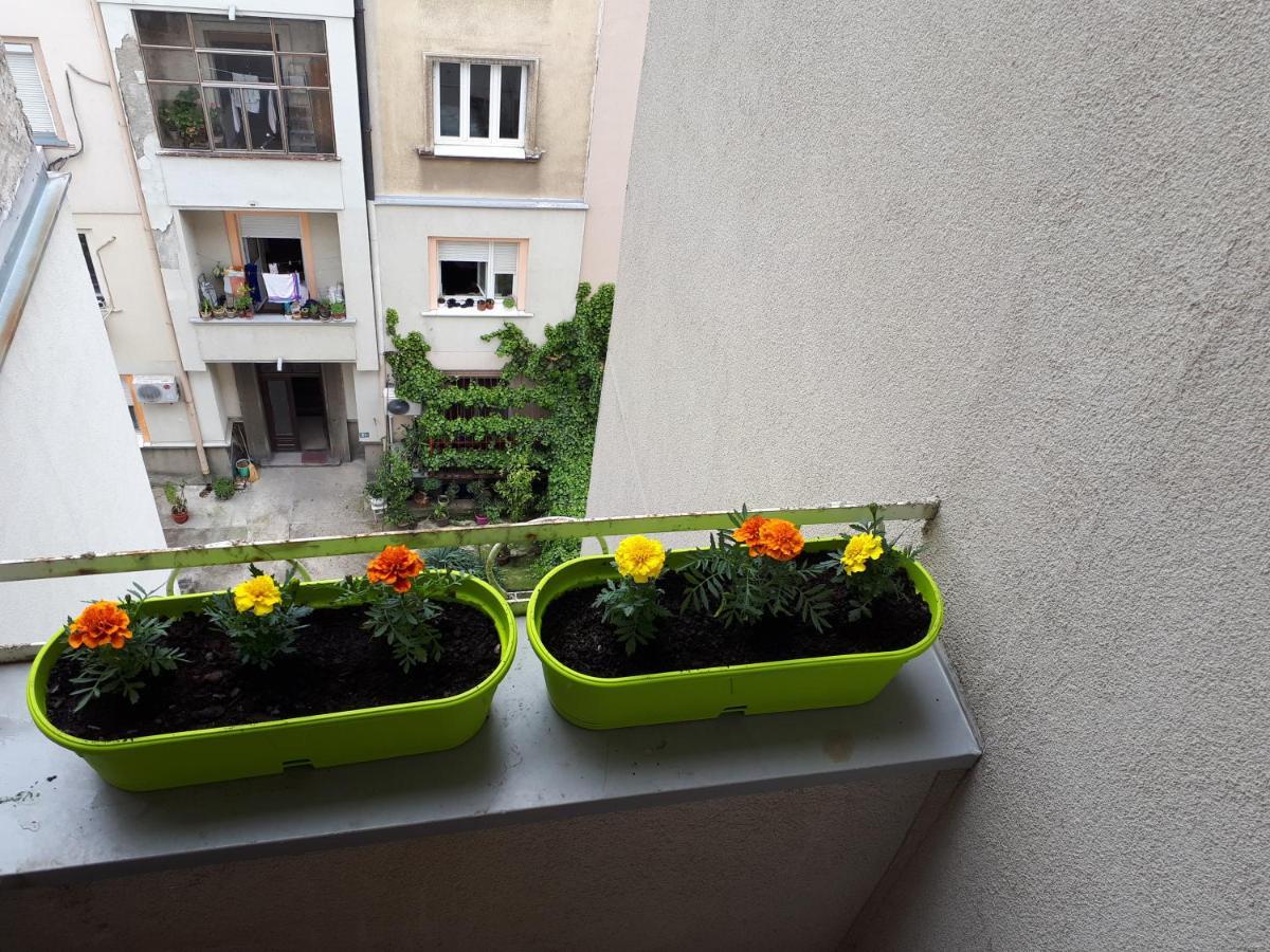 Apartamento Cozy Hikers Flat Belgrado Exterior foto