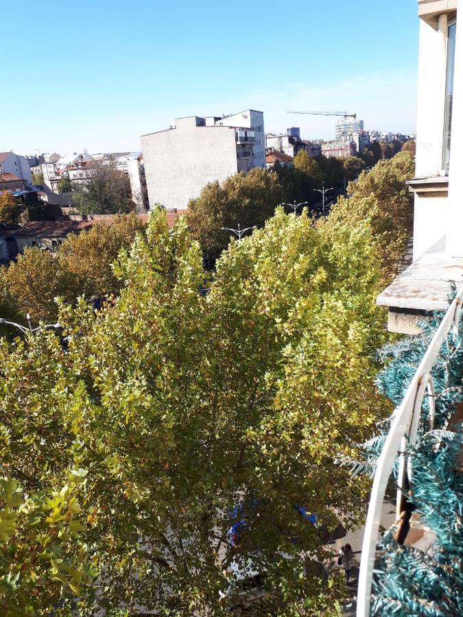 Apartamento Cozy Hikers Flat Belgrado Exterior foto
