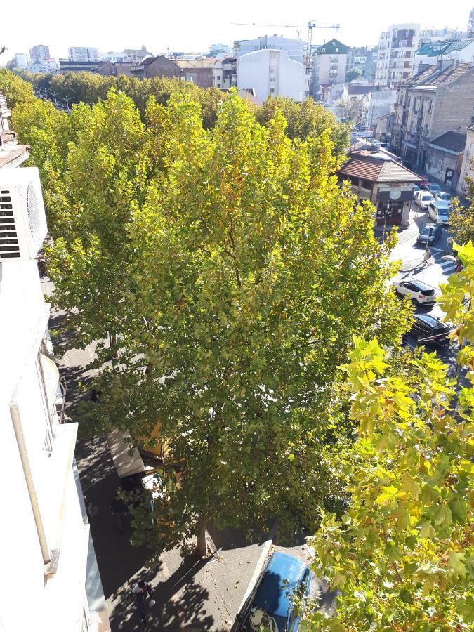 Apartamento Cozy Hikers Flat Belgrado Exterior foto